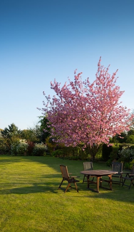 Jardineros en Vilafranca del Penedès: Servicios Profesionales de Jardinería en el Penedès